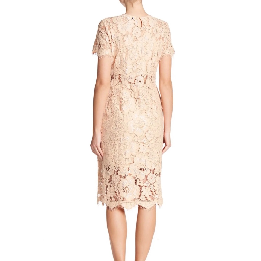 NSR Lace Short Sleeve Sheath Midi Dress sz Medium - Picture 2 of 10